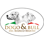 Allevamento Dogo Argentino e Bulldog Inglese